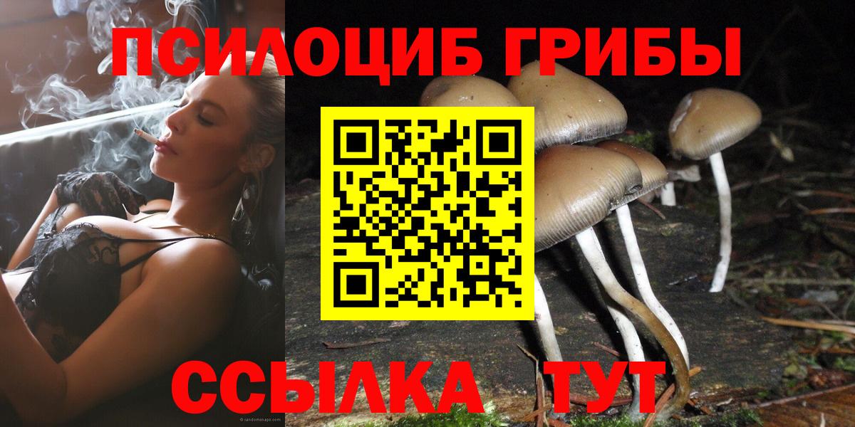 Псилоцибиновые грибы мухоморы Кудымкар